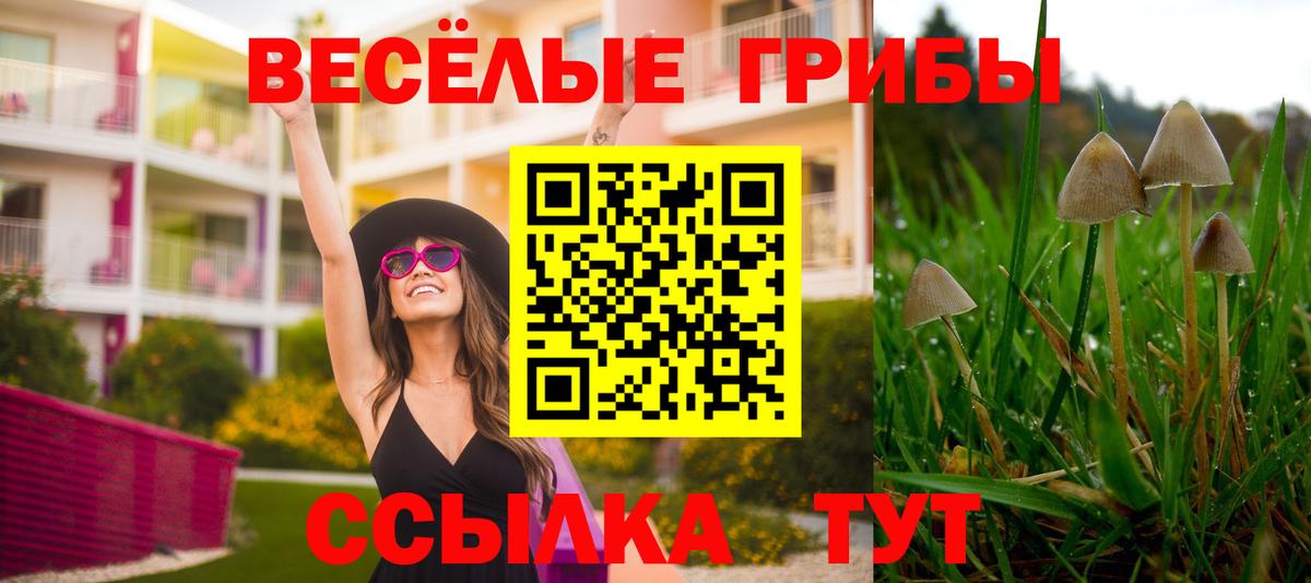 Псилоцибиновые грибы MAGIC MUSHROOMS Гудермес